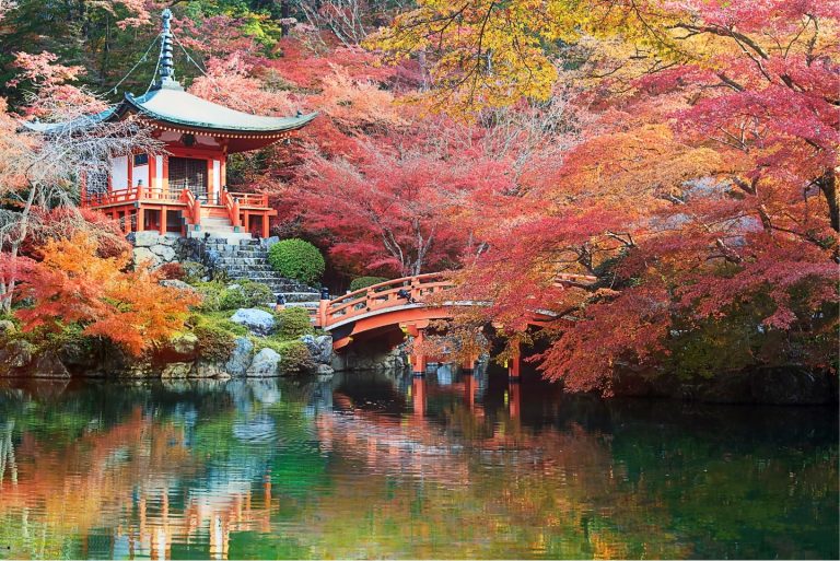 Kiyomizu-dera temple in Kyoto during cherry blossom season – Kyoto Travel Guide 2025
