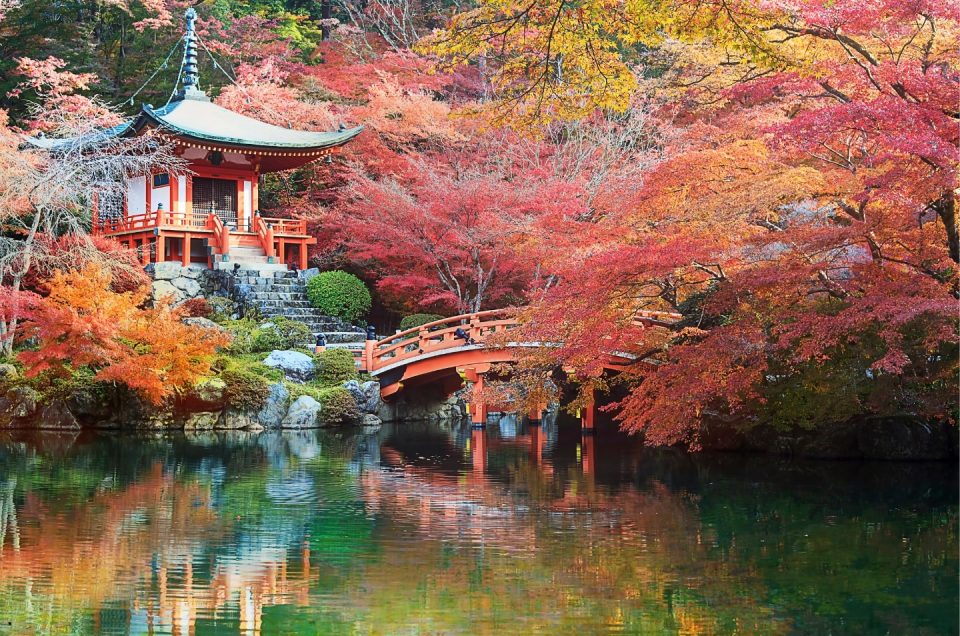 Kiyomizu-dera temple in Kyoto during cherry blossom season – Kyoto Travel Guide 2025