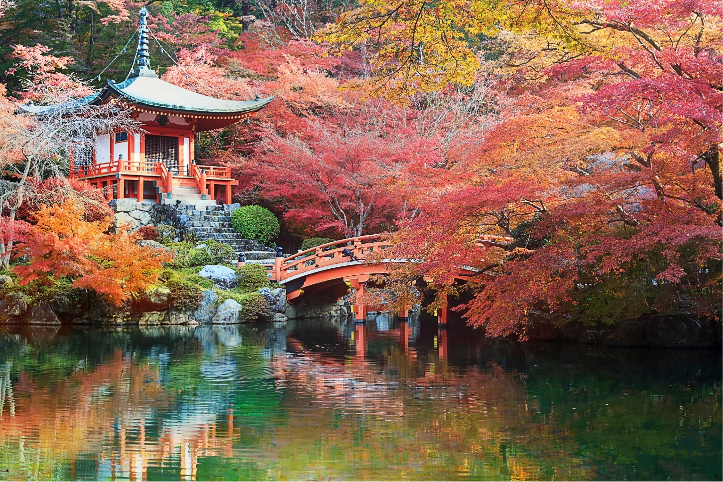 Kiyomizu-dera temple in Kyoto during cherry blossom season – Kyoto Travel Guide 2025